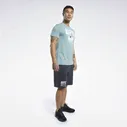 Шорты UFC FG Fight Week Reebok FJ5157-0017 (lpn17251583)