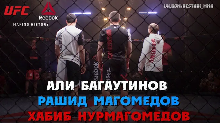 UFC & Reebok. Хабиб Нурмагомедов, Рашид Магомедов, Али Багаутинов