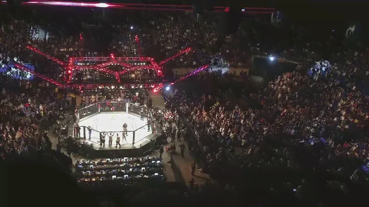 Brad 'One Punch' Pickett UFC London Fight Night Final Walkout