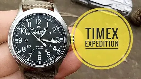 Часы Timex Expedition T49962. Обзор после полугода использования.